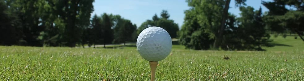 7f4d1c_811d6d671c5f422ca4bc82e985f505ffmv2_d_3088_2056_s_2